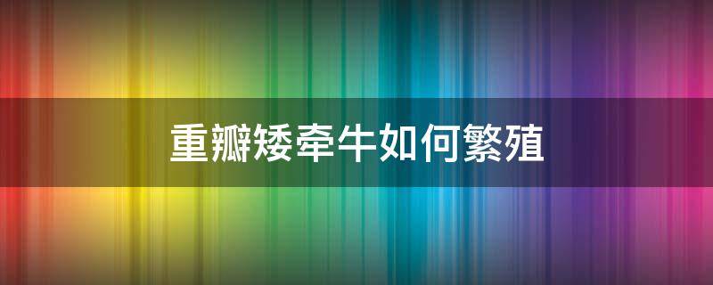 重瓣矮牵牛如何繁殖 重瓣矮牵牛小苗多大能移栽?