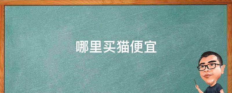 哪里买猫便宜（在哪里买猫更便宜）
