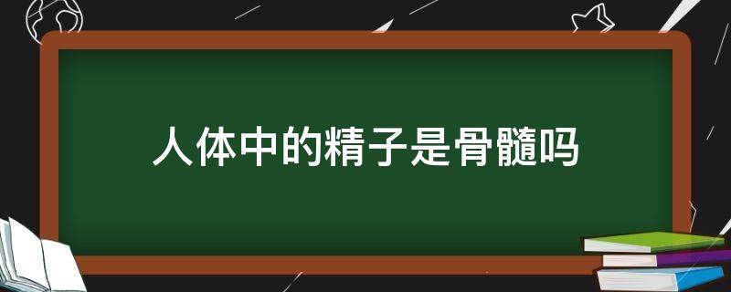 人体中的精子是骨髓吗