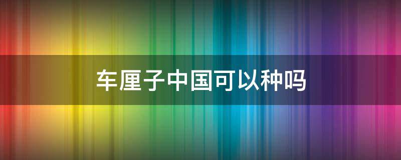 车厘子中国可以种吗 车厘子中国可以种吗?