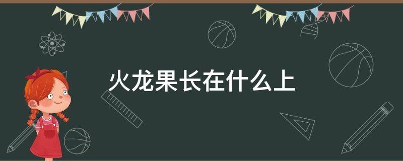 火龙果长在什么上 火龙果长在什么上面