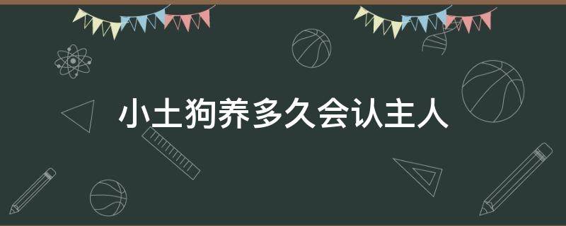 小土狗养多久会认主人 小土狗几个月认主人