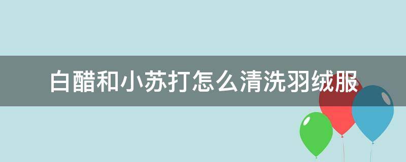 白醋和小苏打怎么清洗羽绒服 白醋清洗羽绒服8个小技巧