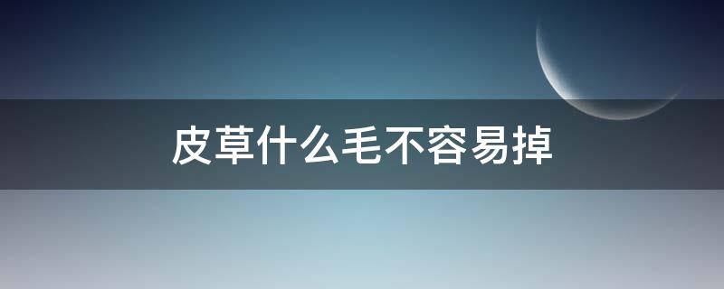 皮草什么毛不容易掉（皮草什么毛最不掉毛）