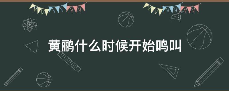 黄鹂什么时候开始鸣叫 黄鹂一般在什么时候叫