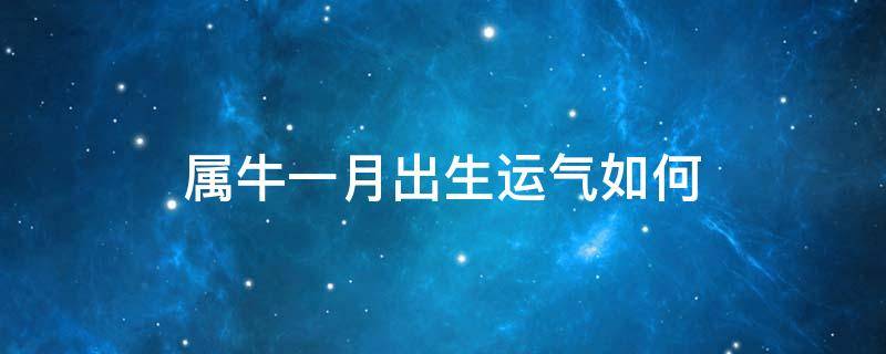 属牛一月出生运气如何 1月属牛的人命运如何