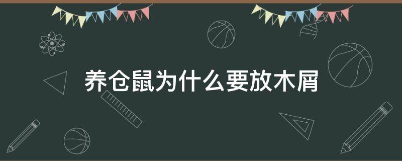 养仓鼠为什么要放木屑（养仓鼠一定要木屑吗）