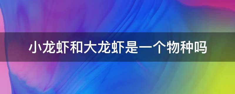 小龙虾和大龙虾是一个物种吗（以前的龙虾与现在的小龙虾是一个物种吗）