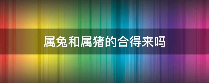 属兔和属猪的合得来吗 属兔的人和属猪的人合吗