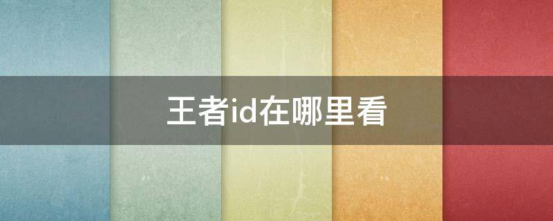 王者id在哪里看（王者id在哪儿看）