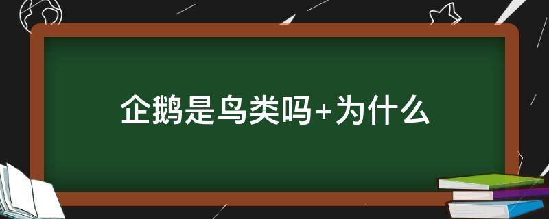 企鹅是鸟类吗（企鹅是鸟类吗还是哺乳动物）