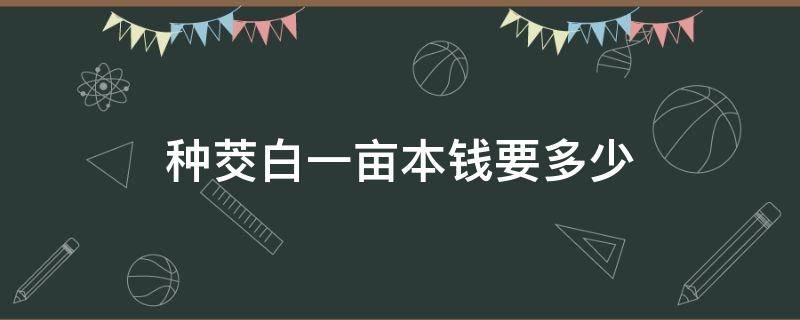 种茭白一亩本钱要多少 请问一下茭白种植一亩能出多少公斤