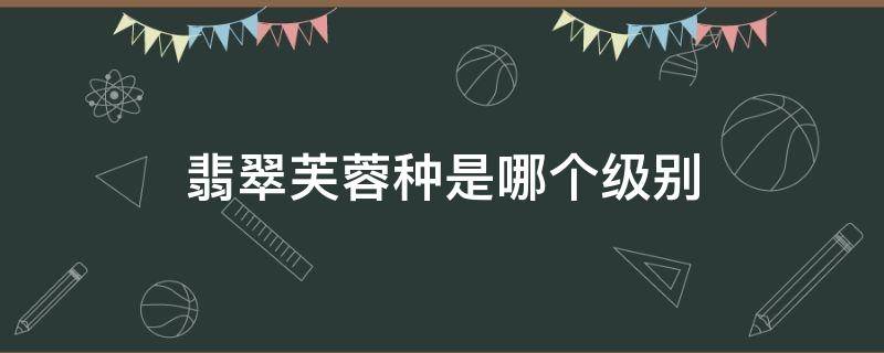 翡翠芙蓉种是哪个级别 芙蓉种翡翠属于什么档次