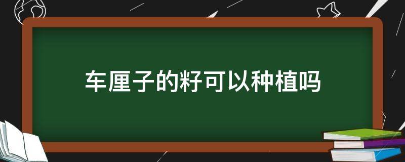 车厘子的籽可以种植吗 车厘子的籽能种出车厘子吗