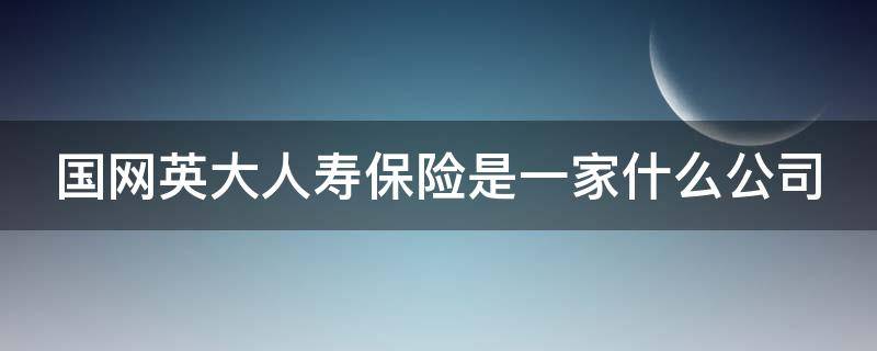 国网英大人寿保险是一家什么公司 国网英大人寿保险是一家什么公司的