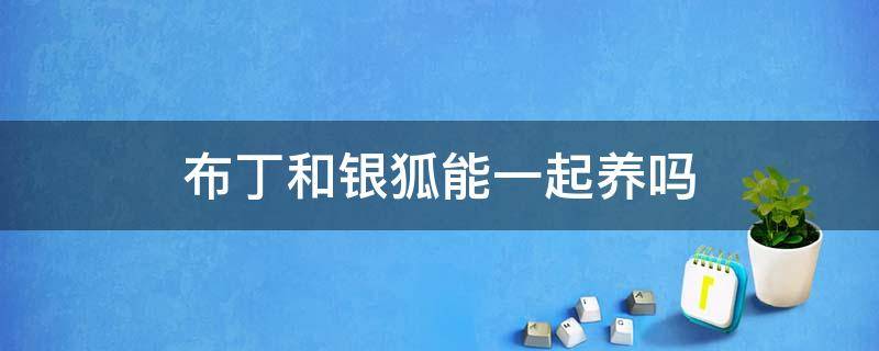 布丁和银狐能一起养吗 养布丁和银狐的注意事项