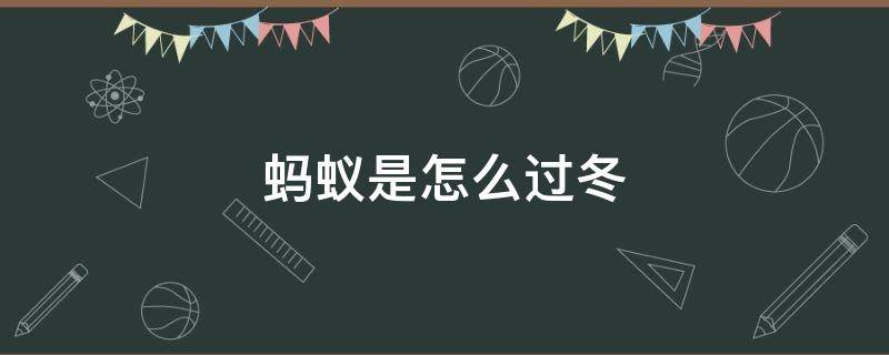 蚂蚁是怎么过冬 蚂蚁是怎么过冬的图片