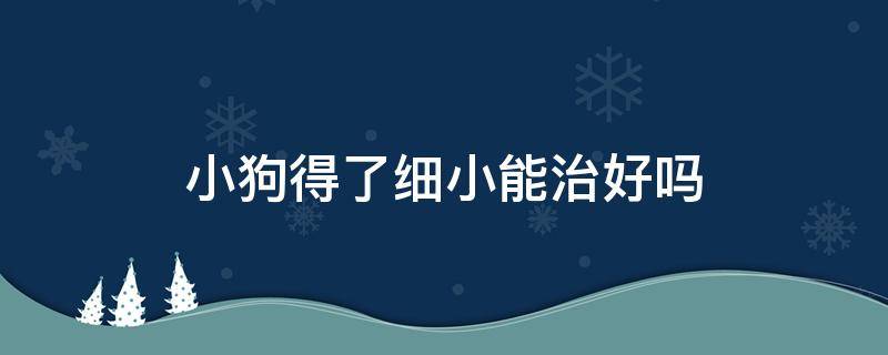 小狗得了细小能治好吗（四个月小狗得了细小能治好吗）