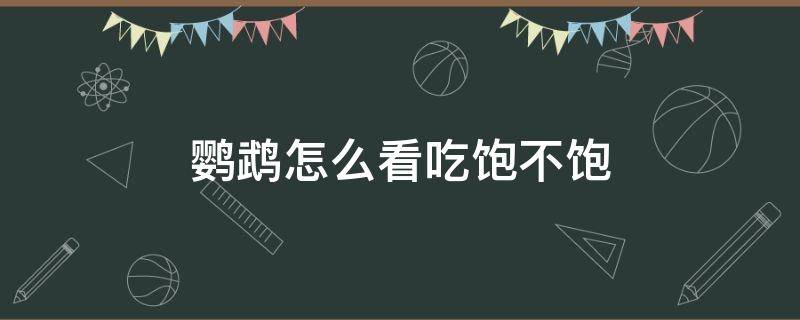 鹦鹉怎么看吃饱不饱 怎么看鹦鹉吃饱没