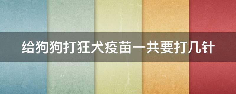 给狗狗打狂犬疫苗一共要打几针 给狗狗打狂犬疫苗一共要打几针呀