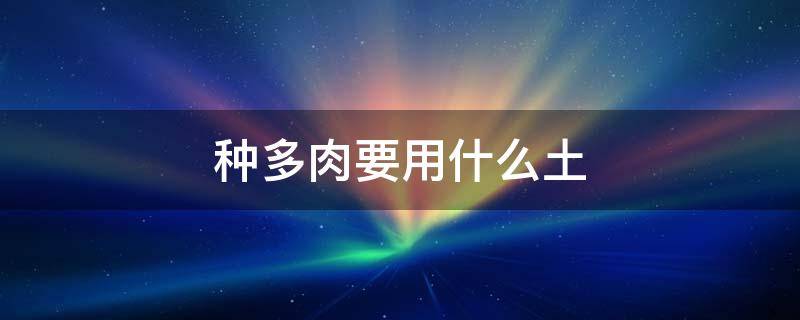 种多肉要用什么土 种多肉用什么土?