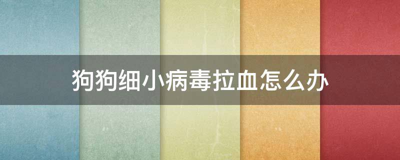 狗狗细小病毒拉血怎么办 狗得了细小病毒拉血还能不能治好