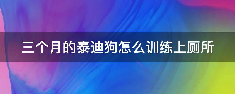 三个月的泰迪狗怎么训练上厕所（3个月的泰迪要怎么训练大小便）