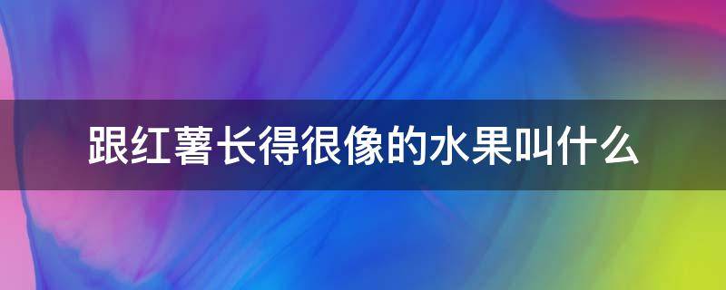 跟红薯长得很像的水果叫什么 长的和红薯一样的水果叫什么名字