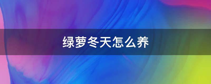 绿萝冬天怎么养 绿萝冬天怎么养护