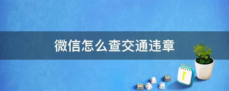 微信怎么查交通违章（微信怎么查交通违章记录查询）