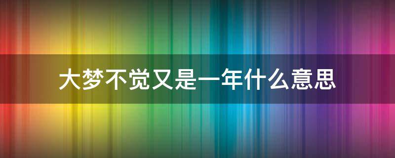 大梦不觉又是一年什么意思 大梦不觉又是一年