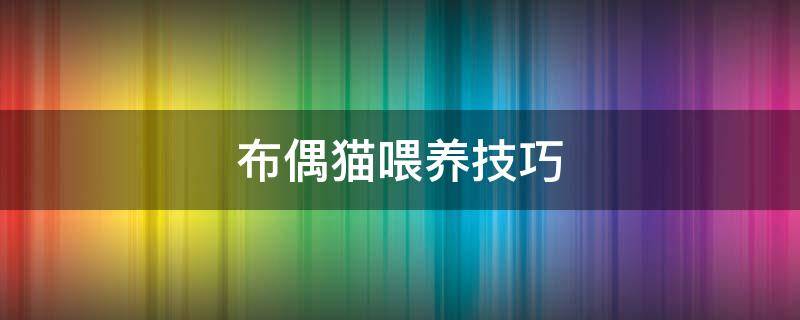 布偶猫喂养技巧（布偶猫喂养技巧8个月）