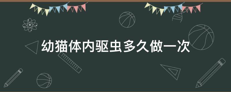 幼猫体内驱虫多久做一次（幼猫体外驱虫多久做一次）