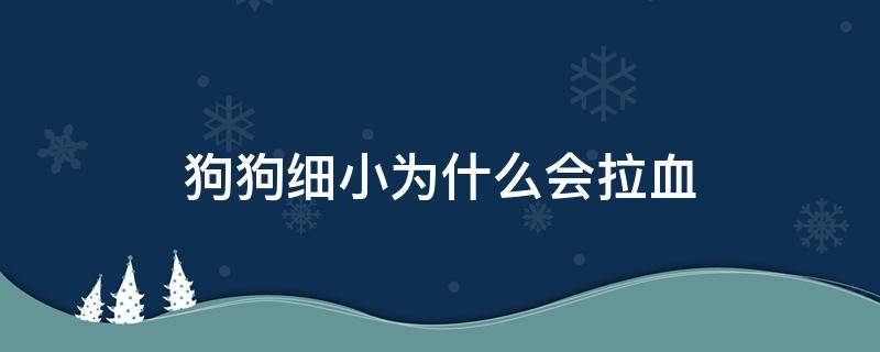 狗狗细小为什么会拉血（狗狗拉血除了细小还有什么原因）