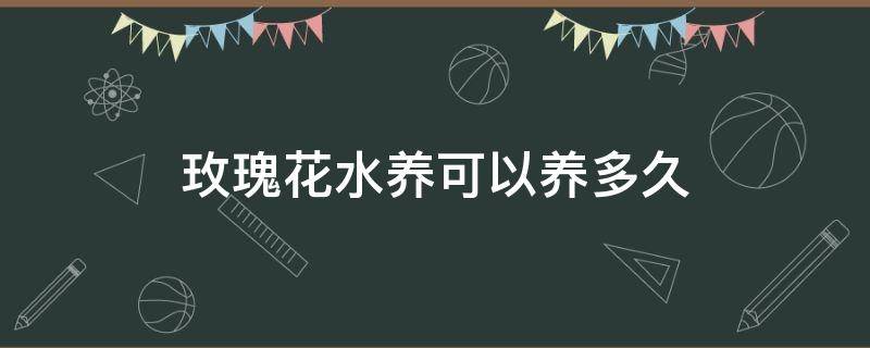 玫瑰花水养可以养多久 玫瑰花用水能养多久