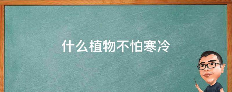 什么植物不怕寒冷（什么植物不怕寒冷的冬天）