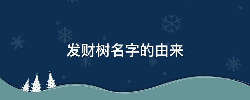 发财树名字的由来 发财树名字的由来视频