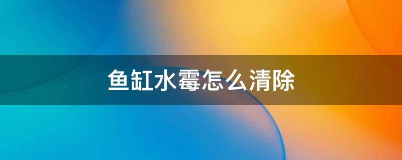 鱼缸水霉怎么清除 有水霉的缸怎么清理?