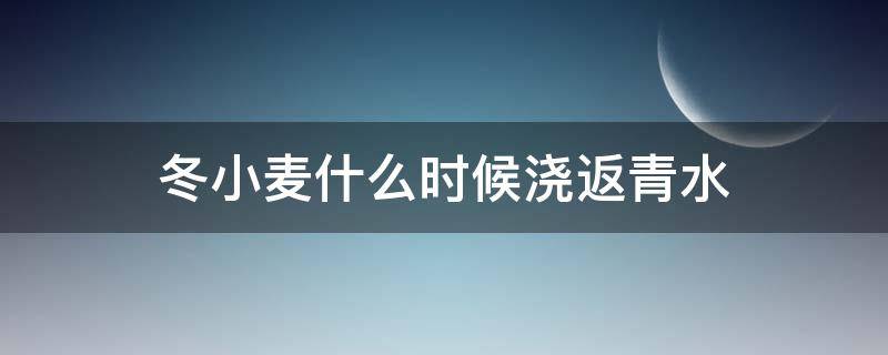 冬小麦什么时候浇返青水（冬小麦什么时候浇返青水合适）