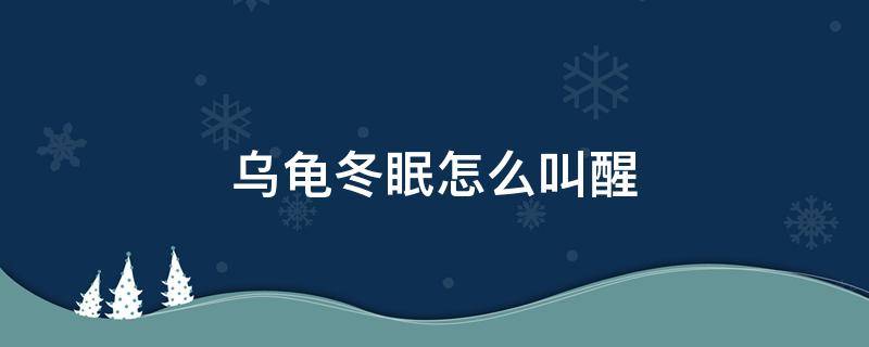 乌龟冬眠怎么叫醒 乌龟冬眠怎么才能叫醒