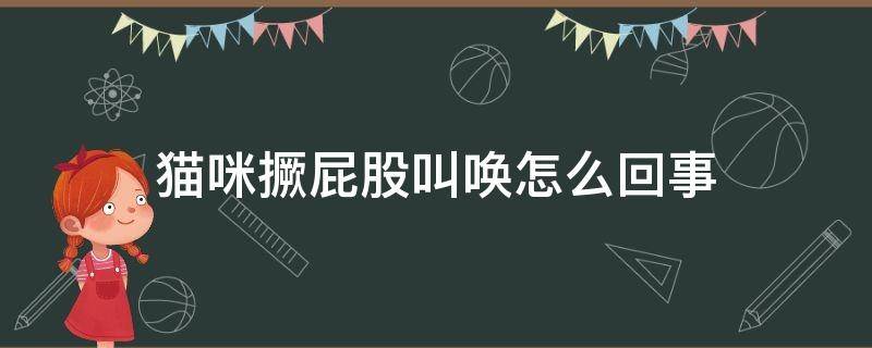 猫咪撅屁股叫唤怎么回事 猫咪老是撅着身子还一直叫