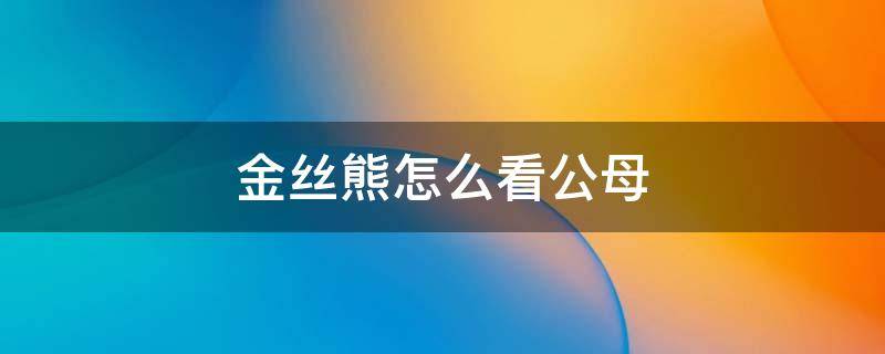 金丝熊怎么看公母 金丝熊怎样看公母