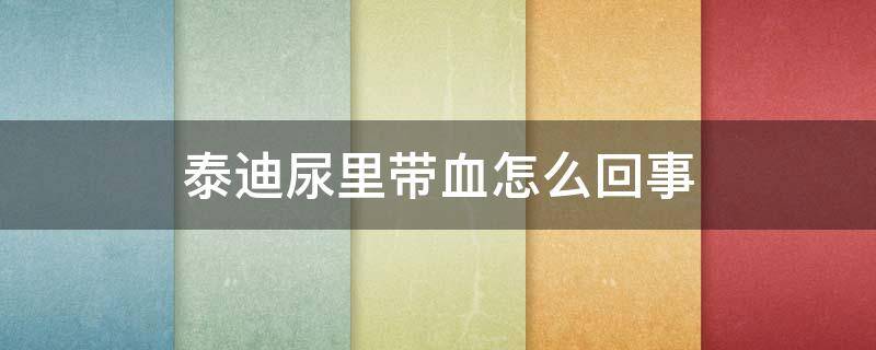 泰迪尿里带血怎么回事 泰迪尿里带血怎么回事小便频繁