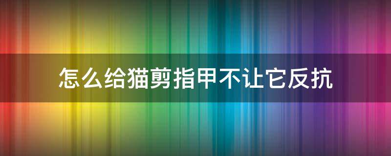 怎么给猫剪指甲不让它反抗 怎么控制住猫剪指甲