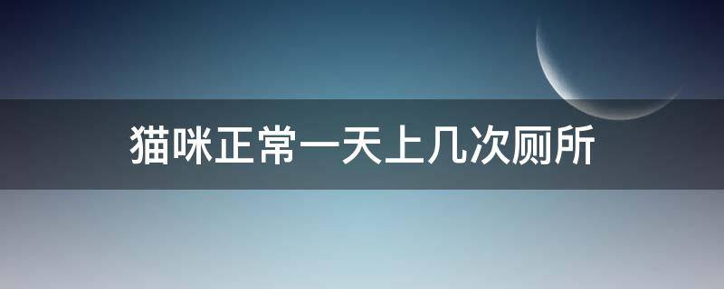 猫咪正常一天上几次厕所（猫一般上厕所一天几次）