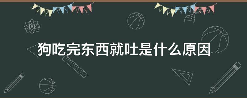 狗吃完东西就吐是什么原因（狗吃完东西就吐是什么原因还没精神）