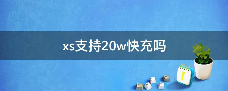 xs支持20w快充吗（xs快充支持30w吗）