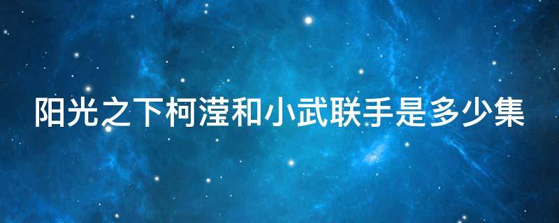 阳光之下柯滢和小武联手是多少集 阳光之下柯滢和小武联手是多少集的