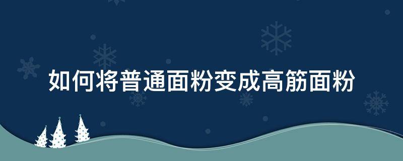 如何将普通面粉变成高筋面粉（普通面粉怎样变高筋粉）