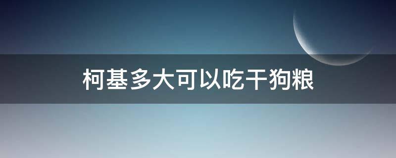 柯基多大可以吃干狗粮 柯基犬多大能吃干粮